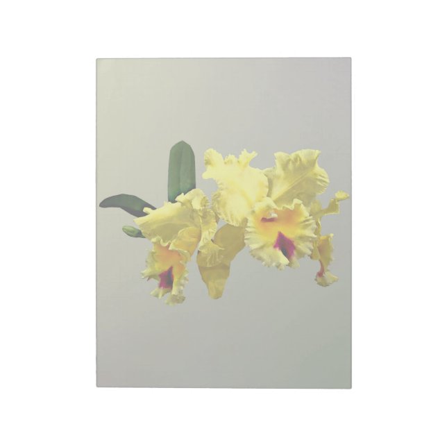 Zwei gelbe Cattleya Orchids Notizblock (Rotiert)
