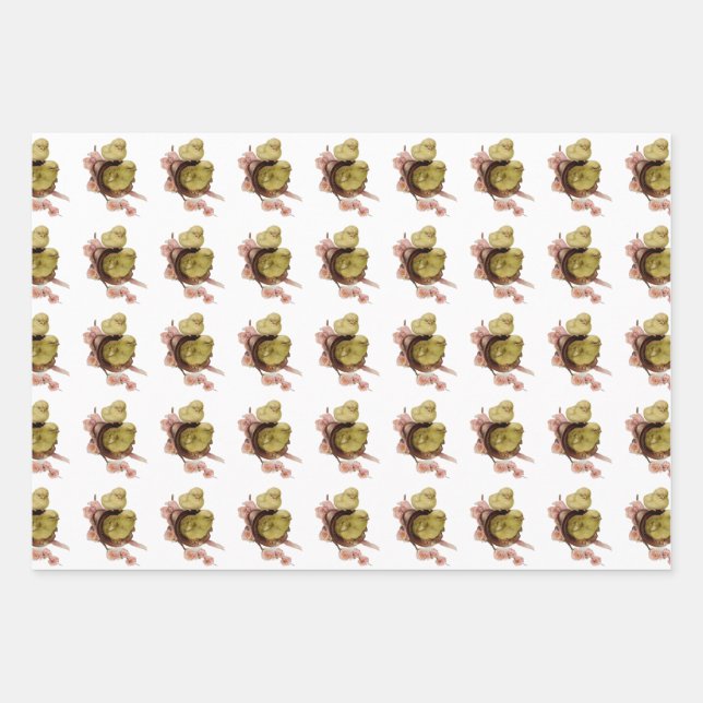 zwei gelbe Küken, Ostern Geschenkpapier Set (Vorderseite)