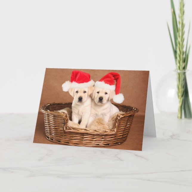 Zwei Gelbe Labrador Weihnachtswelpen Feiertagskarte (Vorderseite)