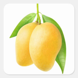 Zwei gelbe Mango-Früchte Quadratischer Aufkleber