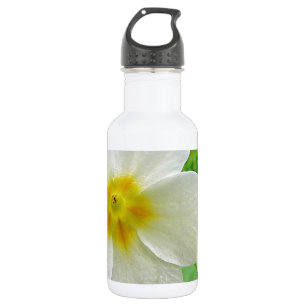 Zwei gelbe Primerosen Trinkflasche