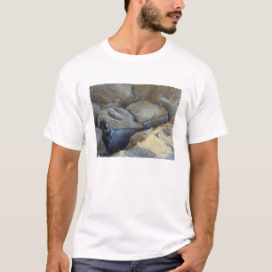 Zwei Geräte mit Box-Typ verpackt T-Shirt