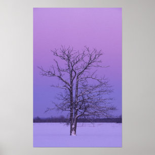 Zwei gestutzte Bäume bei Sonnenaufgang; Chippewa C Poster
