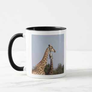Zwei Giraffe, Kruger Nationalpark, Südafrika Tasse