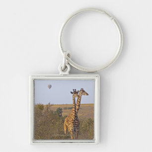 Zwei Giraffen (Giraffa camelopardalis), Masais Schlüsselanhänger