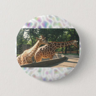 Zwei Giraffen-Knöpfe Button