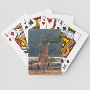 Zwei Giraffen trösten sich gegenseitig in einem Zo Spielkarten