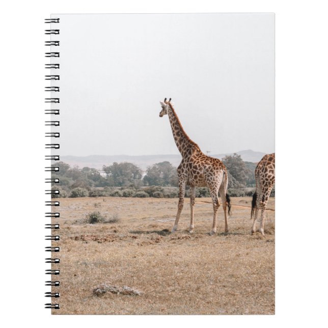 ZWEI GIRAFFES NOTIZBLOCK (Vorderseite)