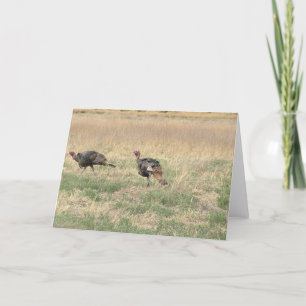Zwei Gobblers Feiertagskarte