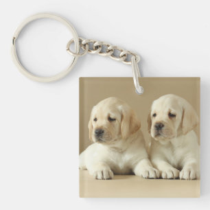 Zwei Golden Labrador Welpen Schlüsselanhänger