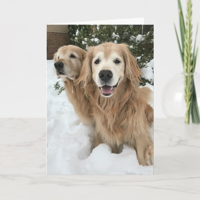 Zwei Golden Retriever Hunde im Schnee Happy Winter Karte (Vorderseite)