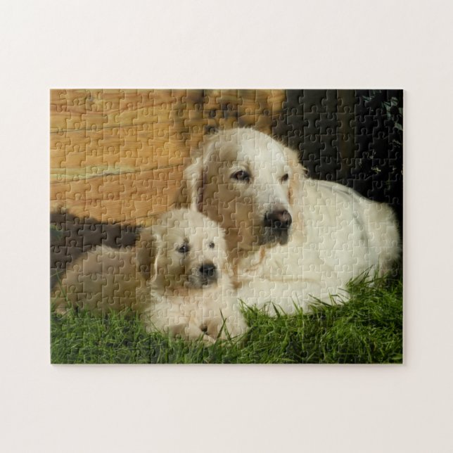 Zwei Golden Retrievers - Mama & Welpe - Liebe (Horizontal)