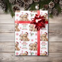 Zwei goldene Retriever Welpen Weihnachten