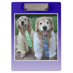 Zwei goldene Retrievers in Shirts und Krawatte Klemmbrett
