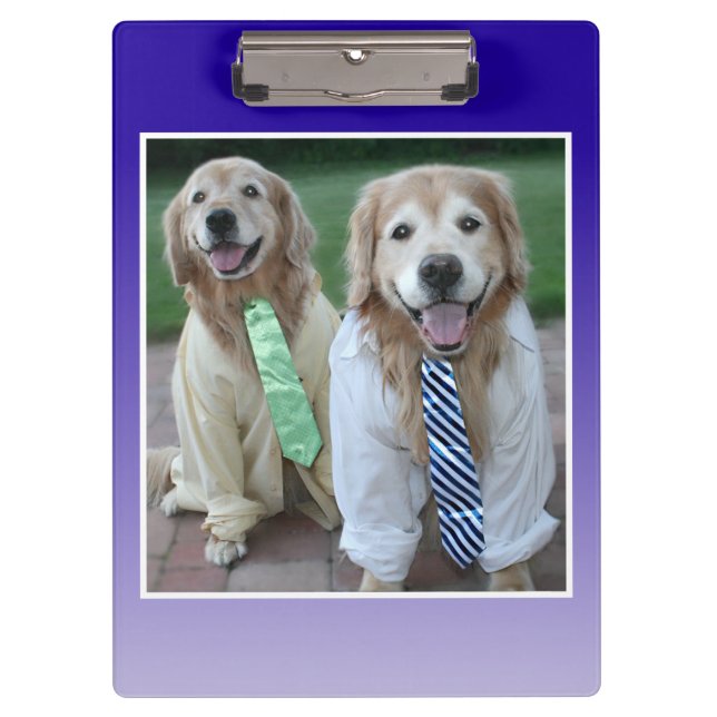 Zwei goldene Retrievers in Shirts und Krawatte Klemmbrett (Vorderseite)