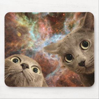 Zwei graue Katzen im Raum vor einem Nebelfleck Mousepad