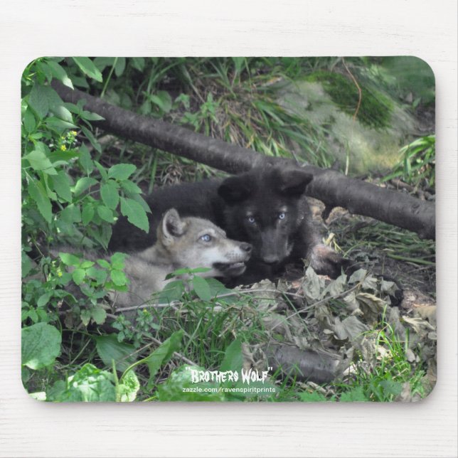 Zwei graue Wolfsteppchen spielen Wildlife Nature F Mousepad (Vorne)