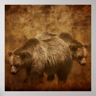Zwei Grizzlybären in einer rustikalen Kulisse Poster