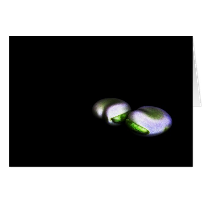 Zwei große Bohnen Gccna (Vorderseite (Horizontal))