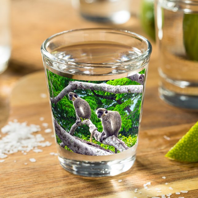 Zwei grüne Affen, die in Baumschussglas sitzen Schnapsglas (Von Creator hochgeladen)