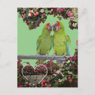 Zwei Grüne Papageien Blume Herzstück DIY Postkarte