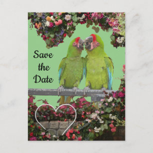 Zwei grüne Papageien krusten. Save the Date Postka Postkarte