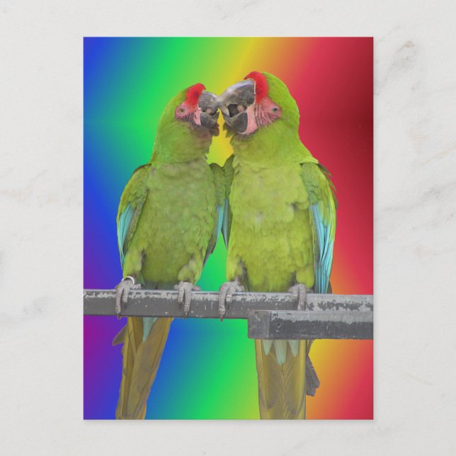 Zwei grüne Paprika Rainbow DIY Postkarte (Vorderseite)