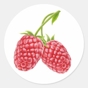 Zwei Himbeeren Runder Aufkleber