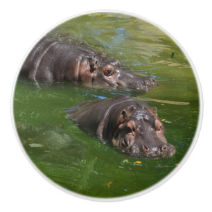 zwei Hippos in einem Teich, Keramikknauf