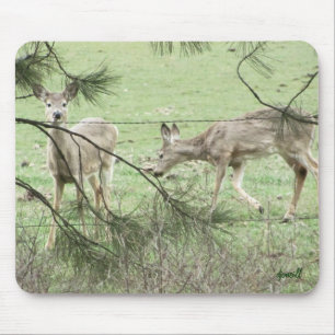 Zwei Hirsche und Kiefer Mousepad