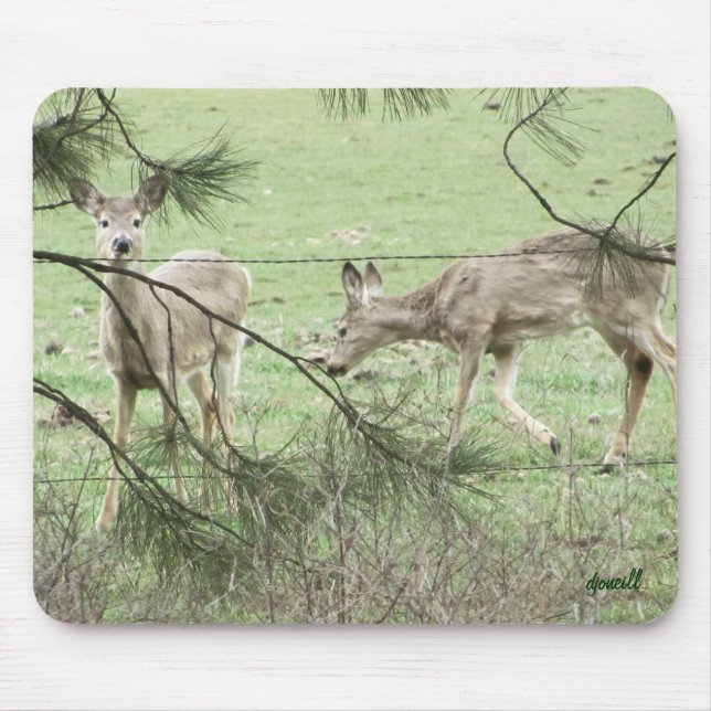 Zwei Hirsche und Kiefer Mousepad (Vorne)