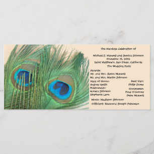 Zwei Hochzeitsprogramme für Golden Peacock Feather Programm