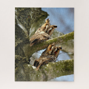 Zwei Hügel im Wald, Vögel, Wildtiere Jigsaw Puzz
