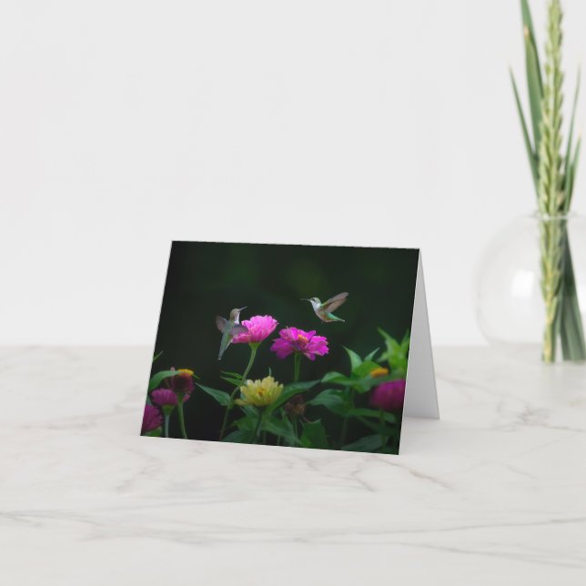 Zwei Hummingbirds Jubiläumsgrüßkarte Karte (Vorderseite)