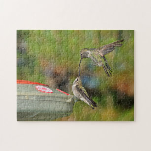 Zwei Hummingvögel