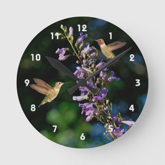 Zwei Hummingvögel fliegen mit Blume, Wall Clock Runde Wanduhr (Vorderseite)