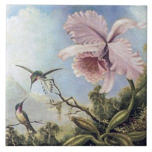 Zwei Hummingvögel und ein Orchid Fliese