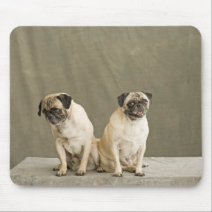 Zwei Hunde, die auf einer Tabelle aufwerfen Mousepad