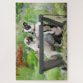 Zwei Hunde einen Mops Welpen und Boston Terrier in