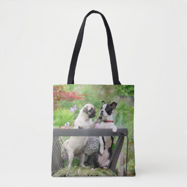Zwei Hunde einen Mops Welpen und Boston Terrier in Tasche (Vorderseite)