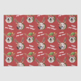 Zwei Hunde Foto Rentier Antler Frohe Weihnachts Ro Seidenpapier