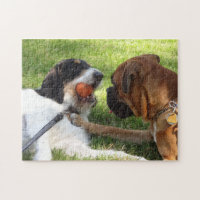 zwei Hunde im Spiel