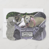 ZWEI HUNDE IN EINEM STROLLER/GLÜCKLICHEN JAHRESZEI