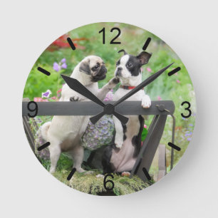 Zwei Hunde Mops Welpe und Boston Terrier Wählsche Runde Wanduhr