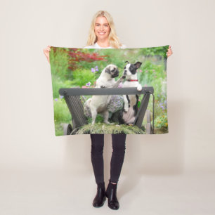 Zwei Hunde pro Mops Welpe und Boston Terrier in ei Fleecedecke