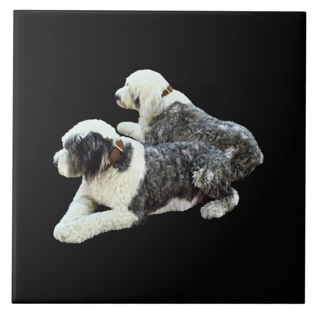 Zwei Hütehunde Fliese (Vorderseite)