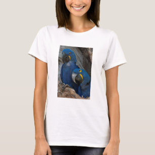 Zwei Hyacinth Macaws, Brasilien T-Shirt
