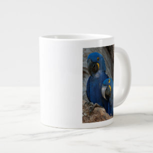 Zwei Hyazinthenaras, Brasilien Jumbo-Tasse