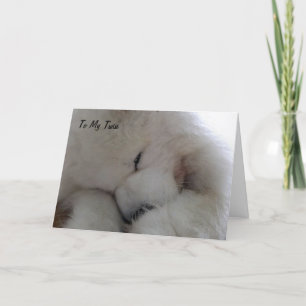 ZWEI ICH WÜNSCHE UNS GLÜCKLICH BIRHTTAG MIT ALL ME KARTE