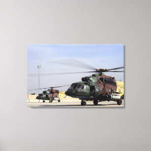 Zwei irakische angesagte Hubschrauber Mi-17 Leinwanddruck